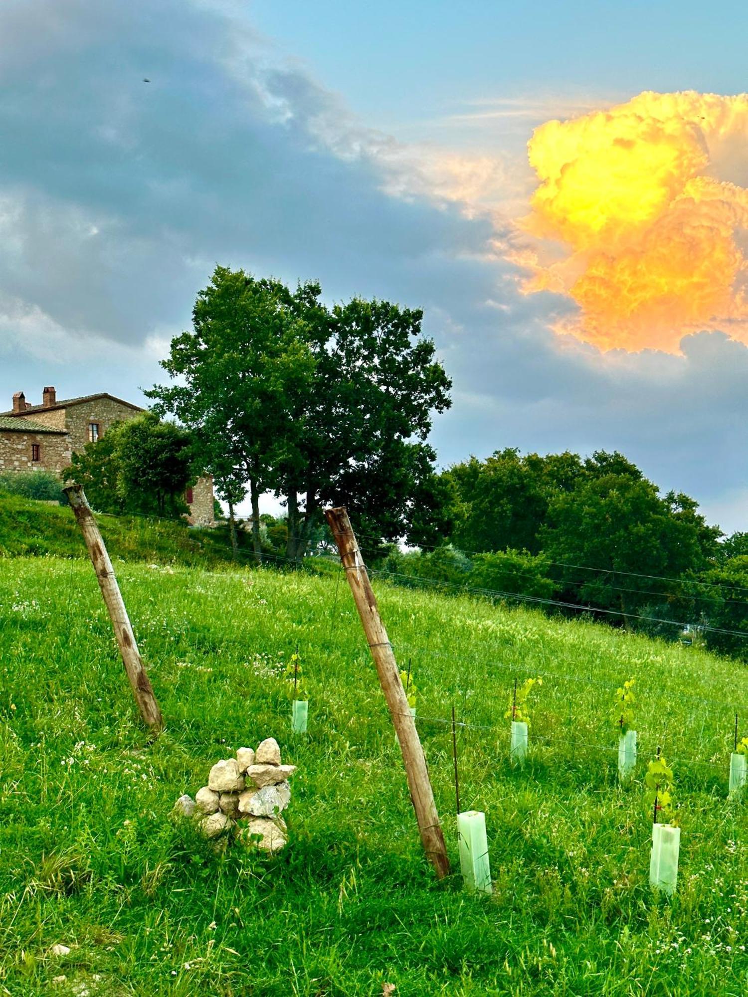 Lachiusa Tuscany Montefollonico